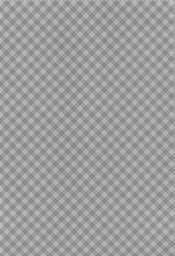 Page 3 of Camp de Daimax