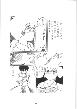 Page 28 of Runchacha III