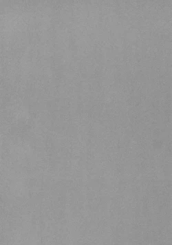 Page 11 of chili acta