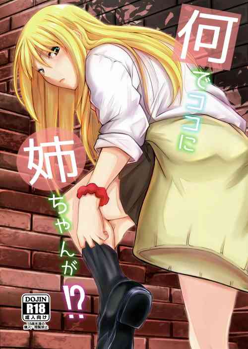 Download Nande Koko ni Nee-chan ga!?