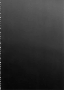 Page 3 of Araki Hina ga Hidoi Me ni Au Hon