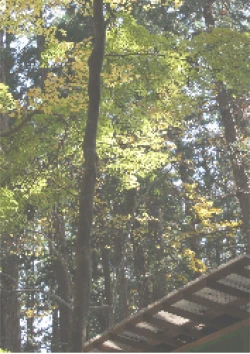 Page 40 of Nikuki Ane ha Mono Iwanu Haijin Onaho ni Narimashita