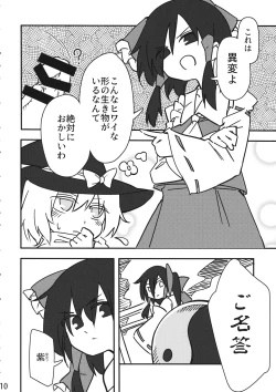 Page 9 of Reimu vs Ochinchin