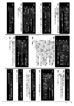 Page 47 of JINKI X-2