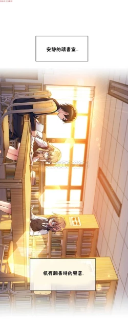 Page 312 of 中文韩漫 初恋豚鼠 ch.1-10