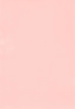 Page 4 of Koneko no Yotogi