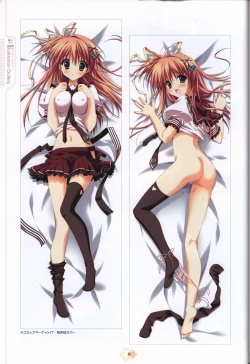 Page 10 of Hoshizora e Kakaru Hash visual fanbook