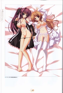 Page 16 of Hoshizora e Kakaru Hash visual fanbook