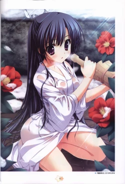 Page 9 of Hoshizora e Kakaru Hash visual fanbook