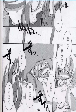 Page 17 of cherryblossoms will blossom.