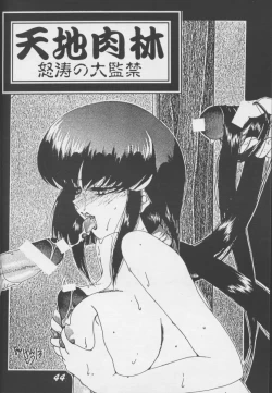 Page 43 of Tenchi Nikurin