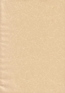 Page 4 of CLOSED VACATION