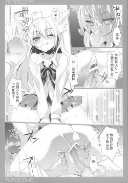 Page 14 of TERACOYA4