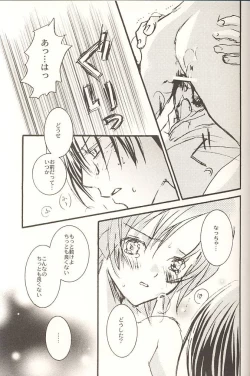 Page 12 of STONE BUTTERFLY