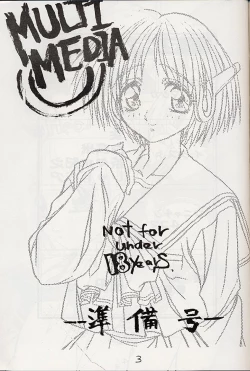 Page 2 of MULTIMEDIA