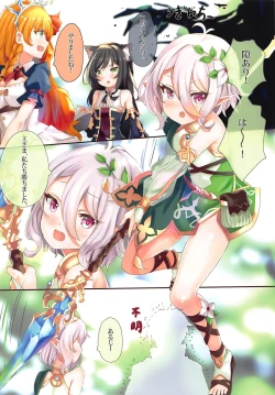 Page 3 of Kokkoro Connect