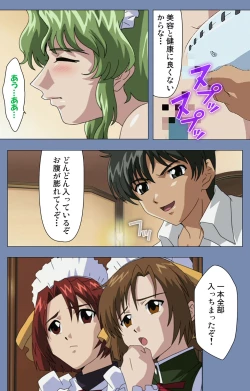 Page 178 of Maid no Yakata Kanzenban