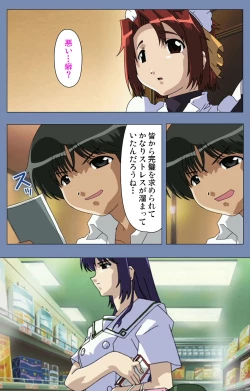 Page 73 of Maid no Yakata Kanzenban