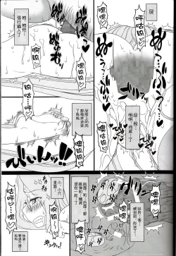 Page 17 of Netorareta Hime KiheiKouhen
