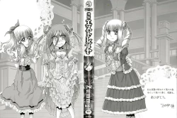 Page 3 of Shinki Strayer