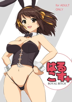 Page 1 of Harucos+
