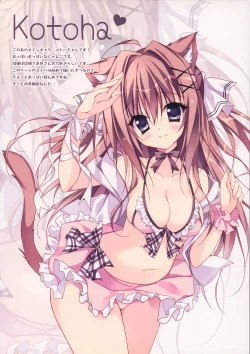 Page 4 of Cat on the Beach