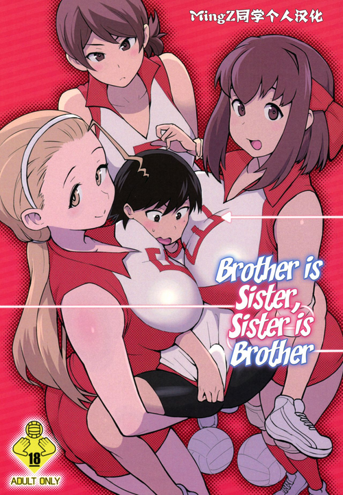 Download Ani ga Watashi de Watashi ga Ani de