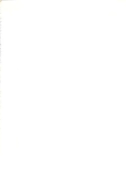 Page 2 of Wanpaku Anime Vol. 4 Dai Bakuhatsu