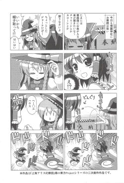 Page 2 of Hakurei Reimu no Tenka Tottaru de!