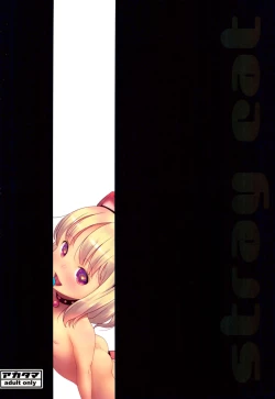 Page 23 of Stray cat