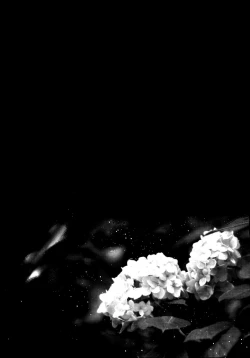 Page 51 of Nora Neko to Rainy Days | 流浪猫和梅雨之夏