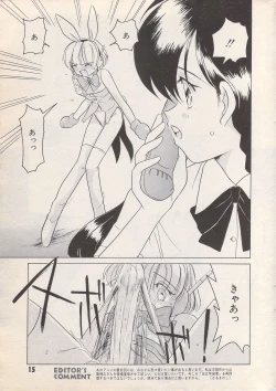 Page 15 of Manga Bangaichi 1996-06