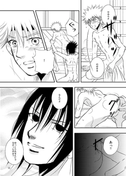 Page 14 of Shikijitsu