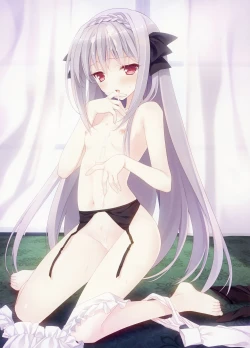 Page 29 of Tsuki ni Yorisou Otome no Sahou official visual fanbook