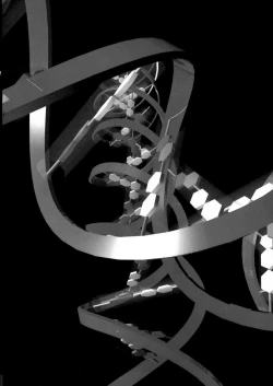 Page 170 of Monzetsu Caligula Machine