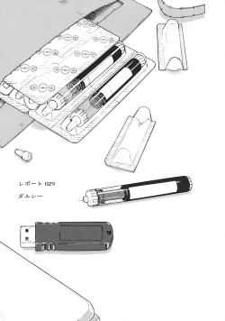 Page 4 of Dulce Report 11