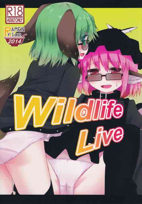 Download Wildlife Live