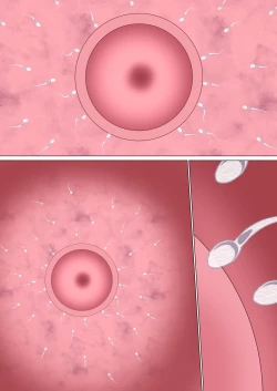 Page 301 of Ijimerarekko no Hahaoya ga Hamedori suru Batsu Game ni Makikomareta Kekka