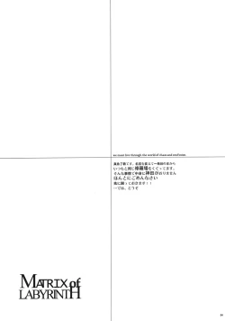 Page 3 of The Matrix of Labirynth