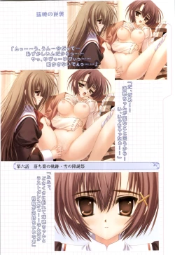 Page 53 of Otome wa boku ni koi shiteru Visual Fanbook