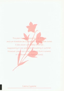 Page 26 of Onii-chan ga Genkinai kara SEX Shite Mita