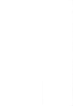 Page 2 of Shiraha no Benjo Yome