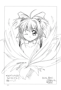 Page 11 of FFF X CCS