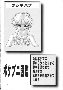 Page 27 of Pocket Punisters