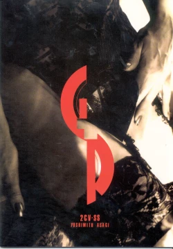 Page 38 of GTR ver0.55