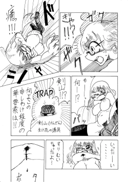 Page 17 of 武部沙織ドクトリン