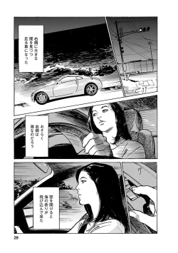 Page 27 of お願いサプリマン My Pure Lady 21