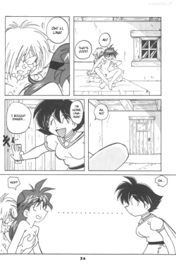 Page 19 of Slayers Reflect