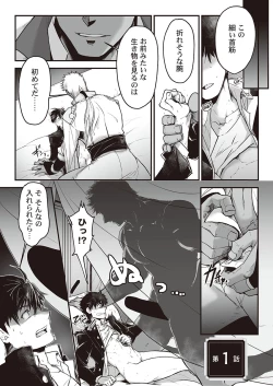 Page 5 of Kyojinzoku no Hanayome