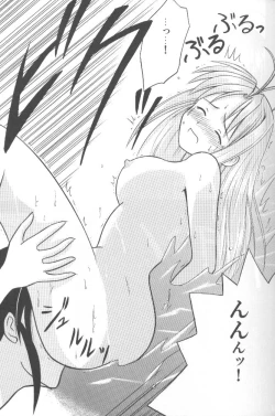 Page 17 of Higyaku No Narusekawa